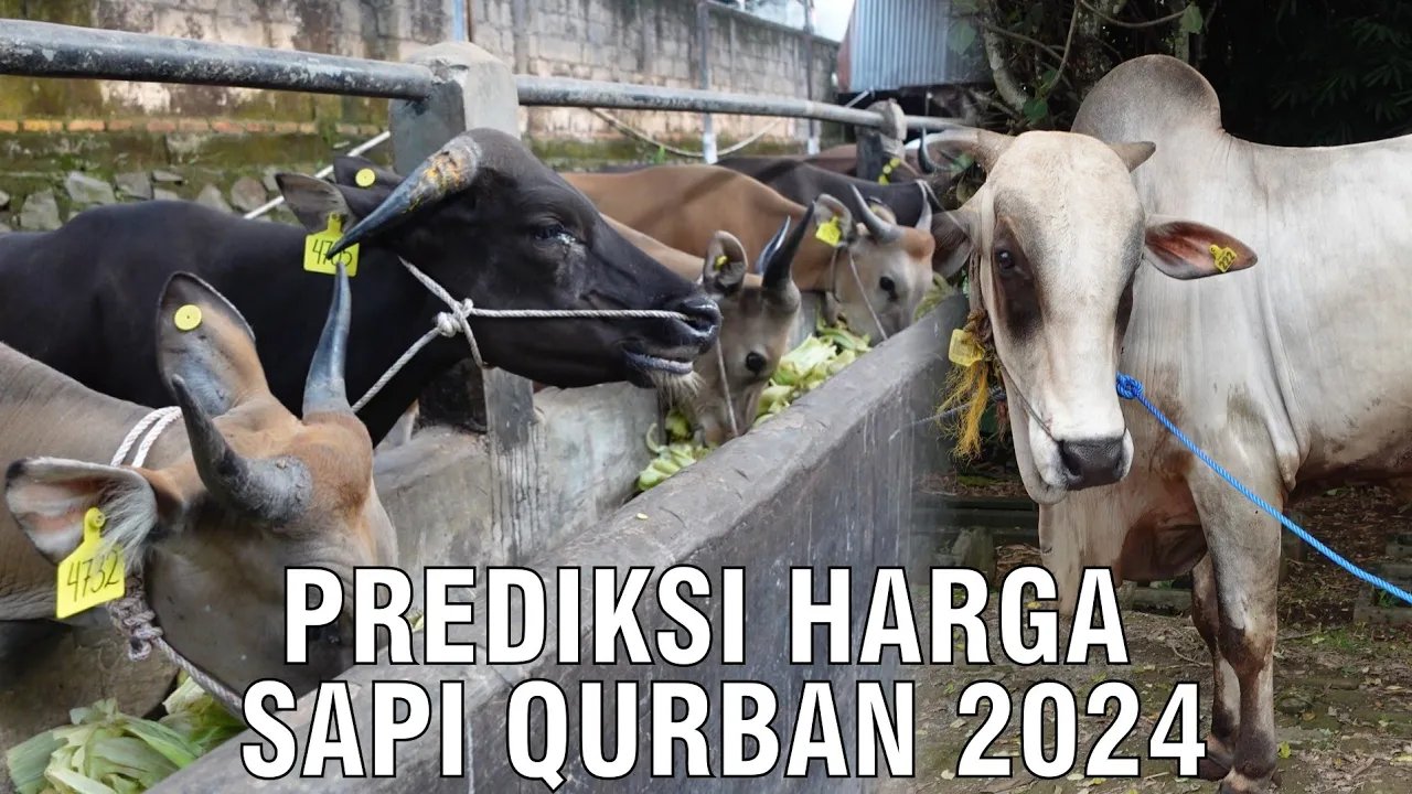 
                                 Prediksi-Harga-Sapi-Qurban-2024